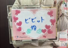 こんなに早く結婚が決まるとは思っていませんでした。不安はありますが幸せになります！ 女性会員さまが婚活２ヶ月弱での超スピードご成婚です(^O^)／