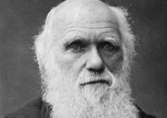 ダーウィンの進化論に於ける美的な求愛活動♡