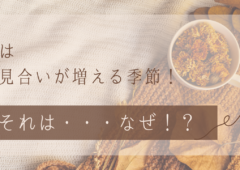 結婚相談所　お見合い｜結婚相談所のお見合いは秋がめちゃくちゃ盛り上がる！その理由とは･･･？