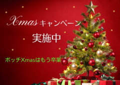 婚活スタート★Xmasキャンペーン実施中★★★